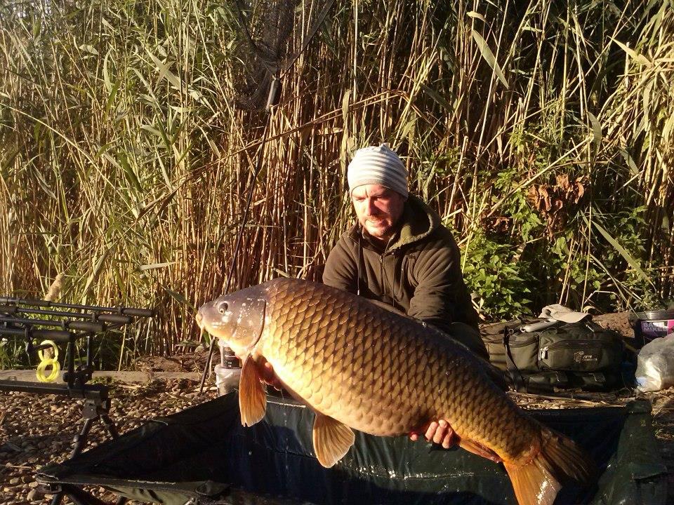 Pro Team - 20430.jpg